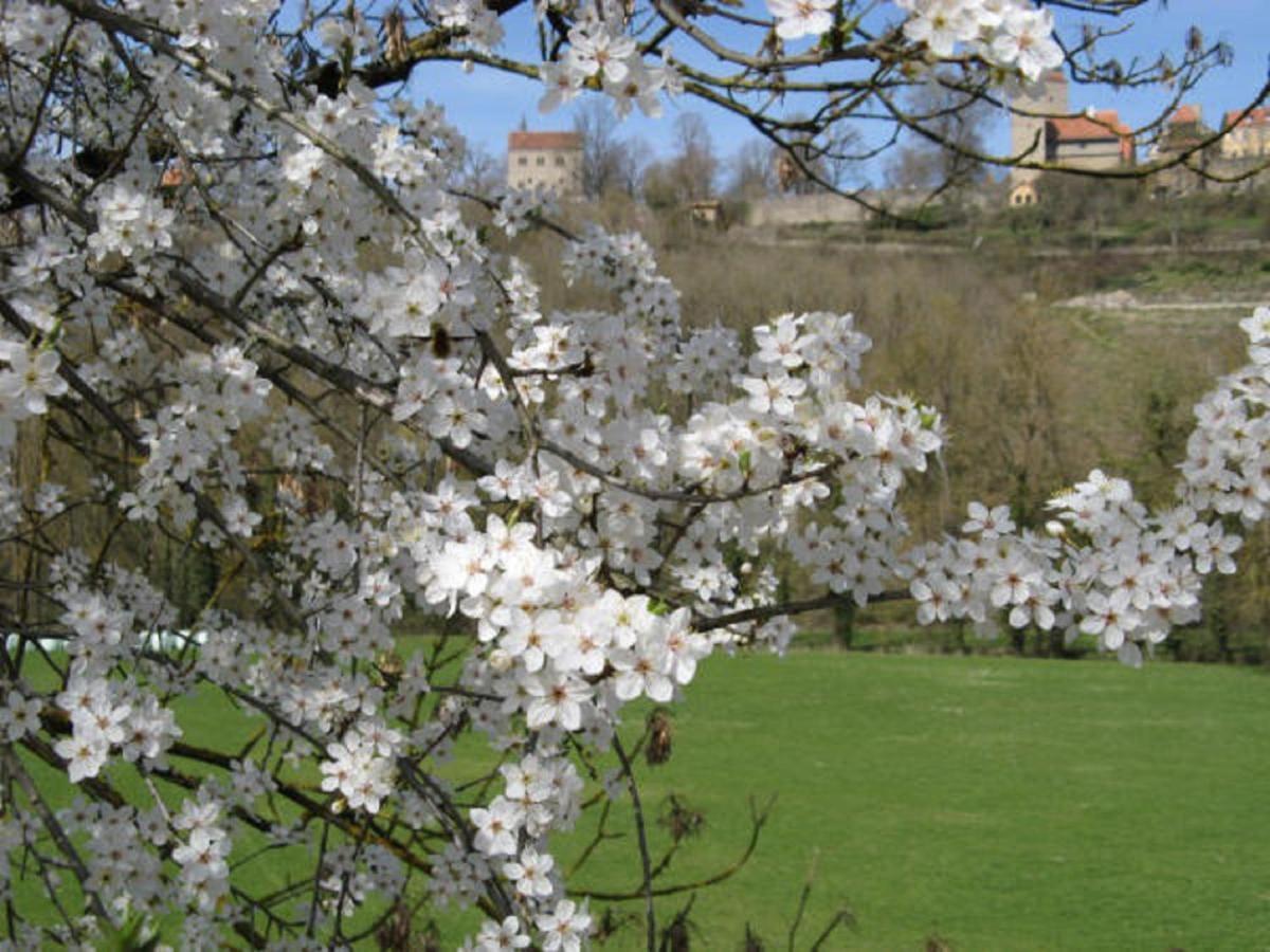 Herrnmuehle - Pension & Ferienwohnungen Rothenburg ob der Tauber Luaran gambar